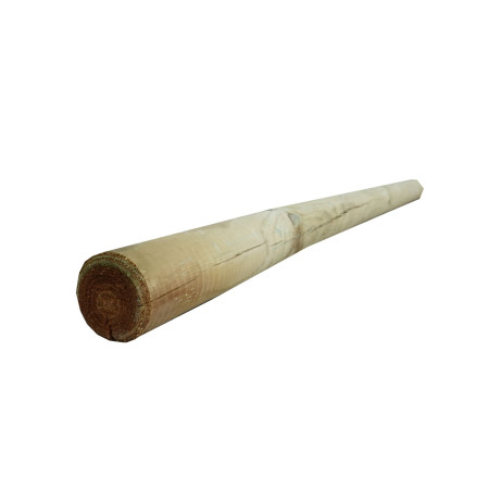 Palisada faza/faza 8x240 cm