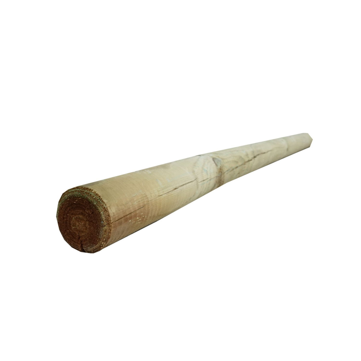 Palisada faza/faza 8x240 cm