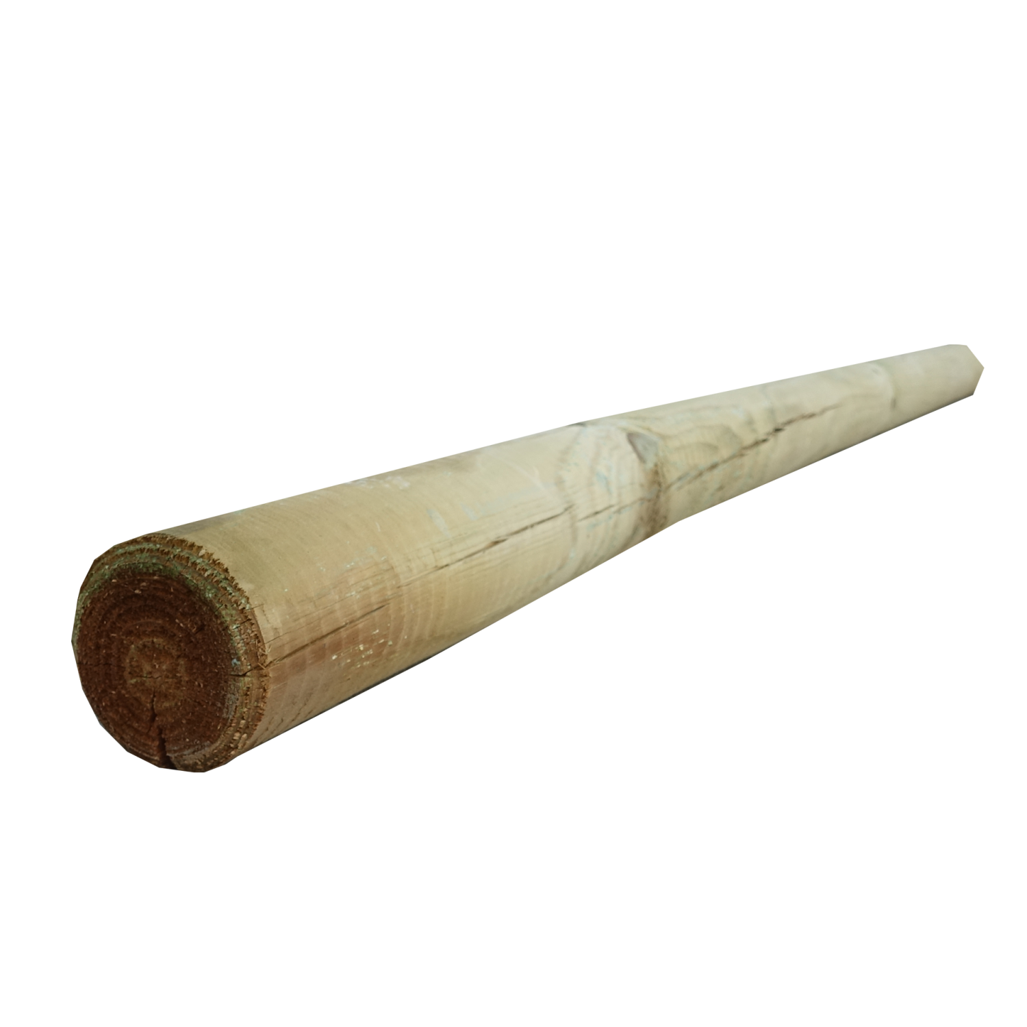 Palisada faza/szpic 8x240 cm