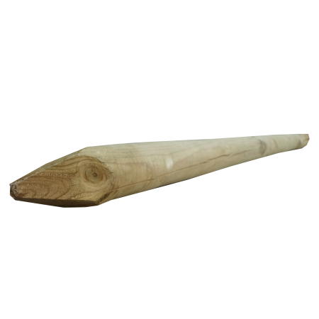 Palisada faza/szpic 8x240 cm