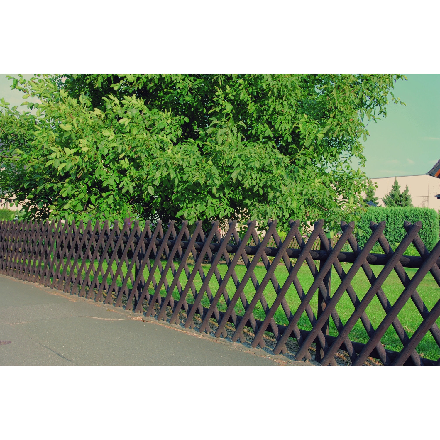 Płot myśliwski 4,6x250x80 cm