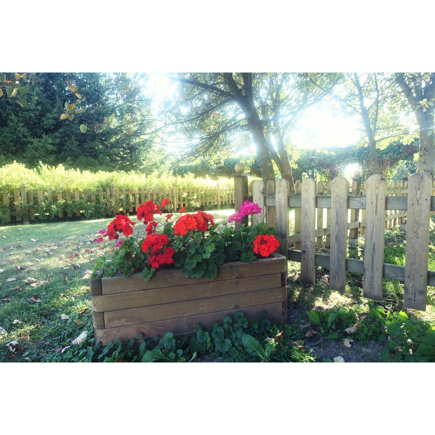 Płot sztachetowy 180/80 cm