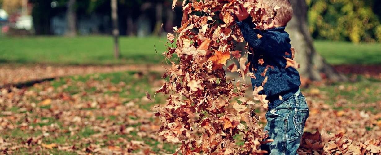 JAK ZADBAĆ O OGRÓD JESIENIĄ - NAWOŻENIE