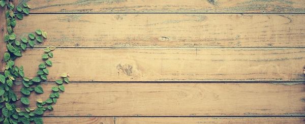 Czym, jak i po co impregnować drewno?