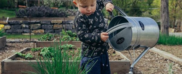 Jak stworzyć ogród, który pokochają dzieci?