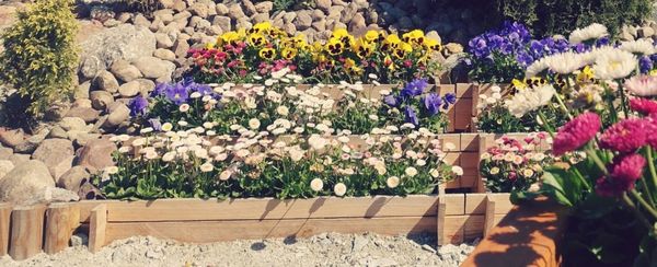 Warzywniak drewniany – praktyczny i atrakcyjny element ogrodu. Dwie propozycje aranżacji