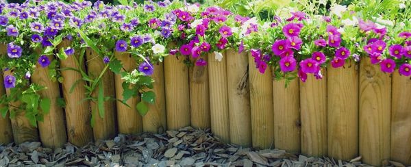 Jak najlepiej wydzielić przestrzeń w ogrodzie? 5 najlepszych rozwiązań.