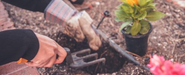 Pierwsze prace w ogrodzie po zimie — co trzeba zrobić?